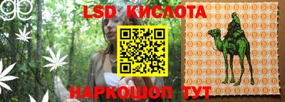 мдма Новодвинск