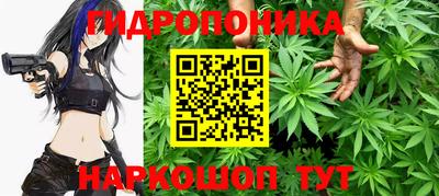 мдма Новодвинск