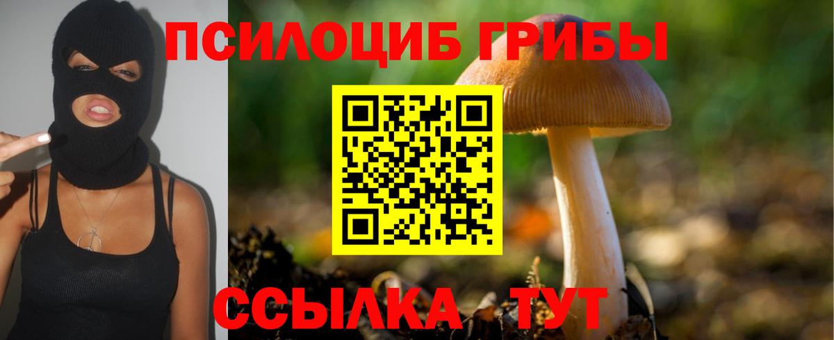 Псилоцибиновые грибы ЛСД  Вход с VPN  Псилоцибиновые грибы Cubensis  Тольятти 